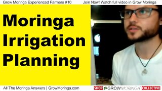 Moringa Irrigation Planning