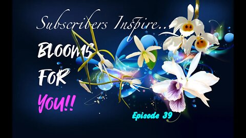 SUBSCRIBERS INSPIRE| You color my life | Blooms for YOU! Episode 39 🌸🌺🌼💐#Orchids #OrchidsinBloom