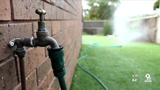 Tips for keeping your yard, garden healthy during heat wave
