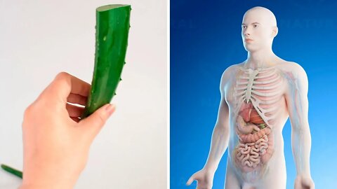 7 Powerful Benefits of Aloe Vera for Men's Health