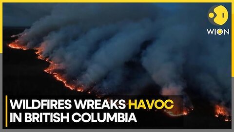 Canada wildfires: British Columbia in state of emergency as 15,000 homes evacuate - QNC News