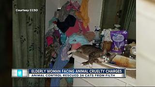 34 cats seized from 'extreme filth, hazardous conditions' inside Citrus County house