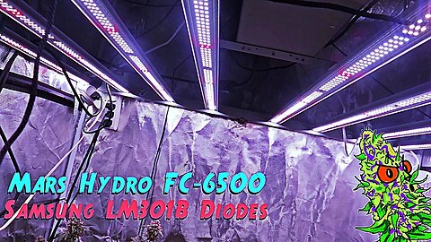 Mars Hydro FC-6500 | High Efficient Samsung LM301B Light for 5'x5'