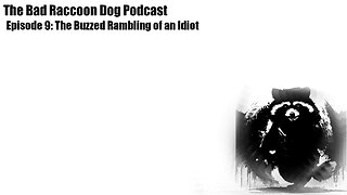 The Bad Raccoon Dog Podcast - Episode 9: The Buzzed Ramblings of an Idiot