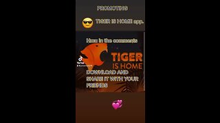 Tiger is home app