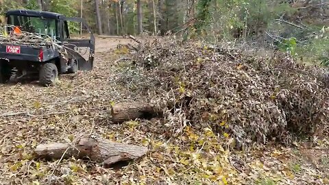 TGF - Cutting Tree Tops & burning #brush #fire #cleanup #work #outdoors #tgf