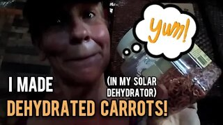 Dehydrating Carrots in my Solar Dehydrator! - Ann's Tiny Life and Homestead