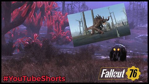 Fallout76 Albino Death-claw #YouTubeShorts