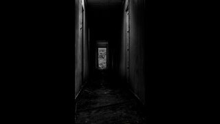 The Dark Corridors of 46