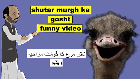 shutar murgh ka gosht funny video #comedy