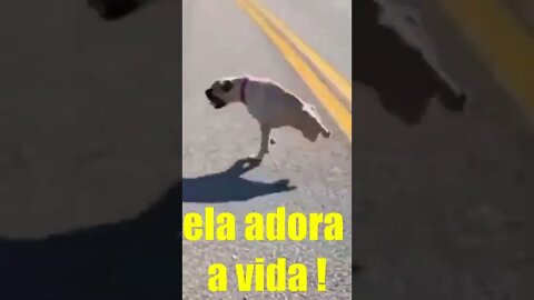 É CURIOSO COMO ESSA CADELA VIVE MUITO BEM ASSIM. A VIDA É UMA DIVERSÃO PARA ELA.