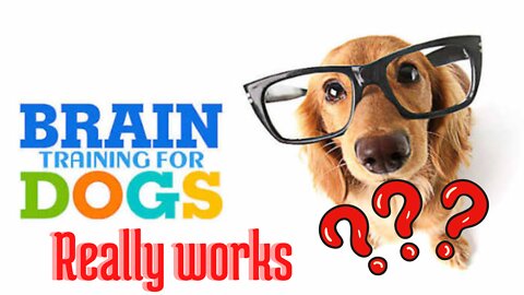 🚨🚨🚨know the truth ✔brain trainning for dogs❌really works ?