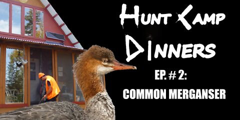 Hunt Camp Dinners: Episode 2 - Common Merganser