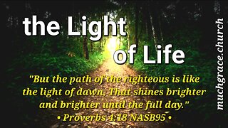 The Light of Life : Unveiled Path