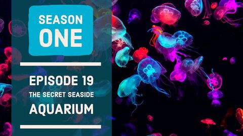 The Secret Seaside Aquarium. Season 1 - Ep19.