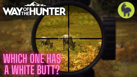 Which One Has A White Butt? | Way of the Hunter (PS5 4K)