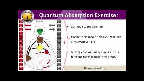 Human Design System Quantum Absorption