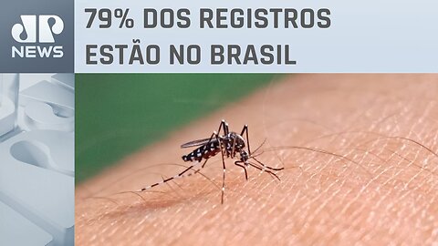 Casos de dengue no primeiro semestre de 2023 chegam a 2,9 milhões na América Latina