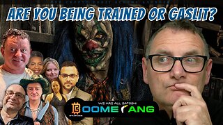 BOOMERANG SCAM: Are You Being Trained or Gaslit?