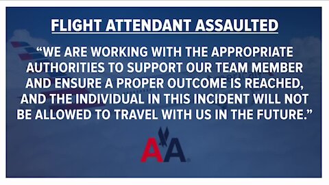 American Airlines flight diverted to Denver after passenger allegedly assaulted flight attendant