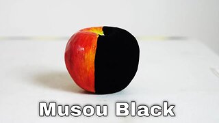 Musou Black-The (New) World's Blackest Paint Turns Anything Into A Shadow