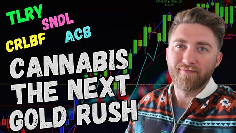 CANNABIS STOCKS MIGHT BE THE NEXT BUBBLE IN THE MARKET..