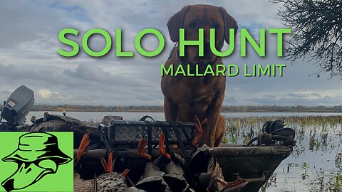 Epic Solo Mallard Hunt - ShotKam