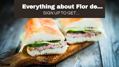 Everything about Flor de Cuba Restaurant – Authentic Cuban Food in Houston