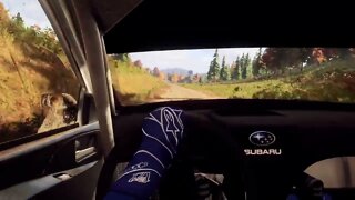 DiRT Rally 2 - Impreza Prances Through Beaver Creek Trail