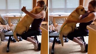 Sweet Dog's Adorable Hug Steals Owner's Exercise Session