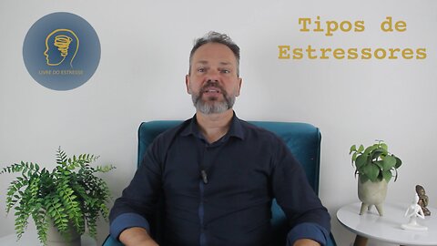 Tipos de Estressores