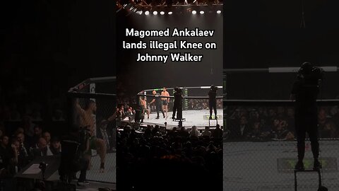 The Illegal Knee of Ankalaev vs Walker from Crowd View