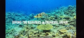 Diving Kerama Islands