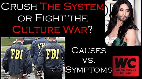 Crush The System or Fight the Culture War? Causes or Symptoms?