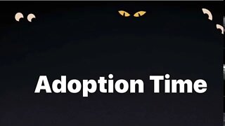 Adoption time