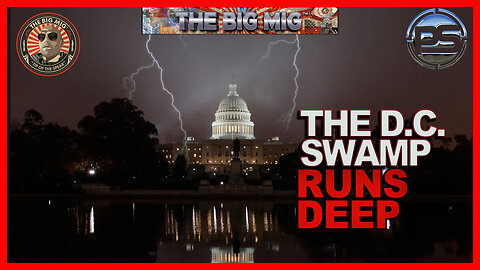 The D.C. Swamp Runs Deep | The Big Mig