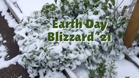 2021 Earth Day Blizzard