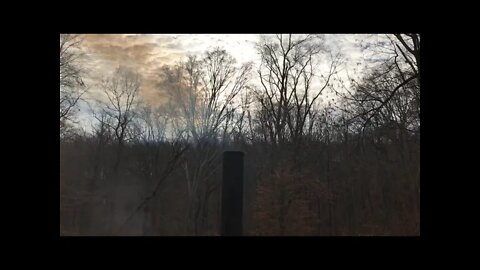 (LiveStream) Using Retort Kiln to Make Charcoal for Garden