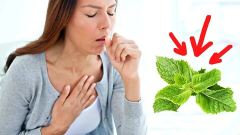 Chew This Leaf To Clear Your Throat And Stop Coughing