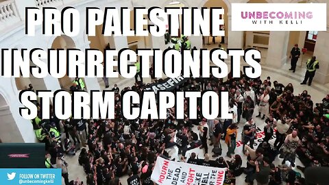 PRO-PALESTINE INSURRECTION AT THE US CAPITOL?