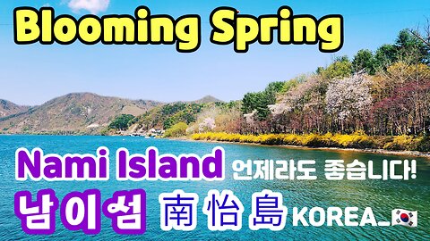 Blooming Spring - Nami Island