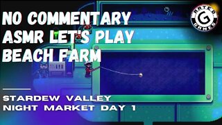 Stardew Valley No Commentary - Family Friendly Lets Play on Nintendo Switch - Night Market Day 1