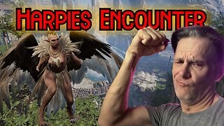 Harpies Encounter by the Druid Grove in Baldur's Gate 3