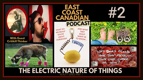 The Electric Nature Of Things