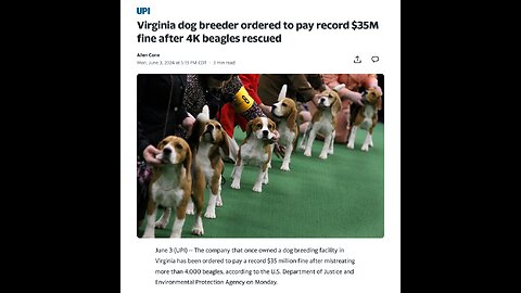 Virginia dog breeder ordered to pay record $35M fine after 4K beagles rescued
