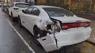 Escaped Horse Damages Parked Car In Manhattan