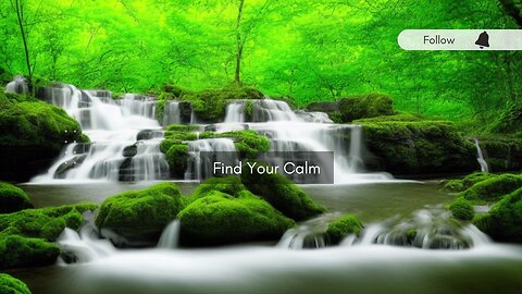 Calm Your Anxiety: Relaxing Music Therapy for Stress Relief