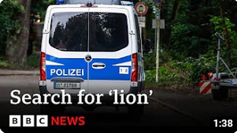 Berlin search continues for suspected lion – BBC News