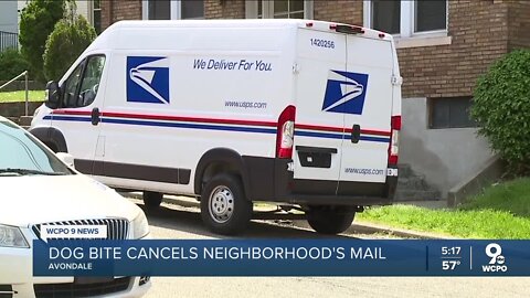 Avondale street dealing with zero mail delivery after neighbor's dog bites USPS worker