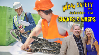 WAM Safety - Episode 112 - Workplace Snakes and Wasps
